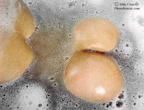 Ros - 'Bubbles' Herts