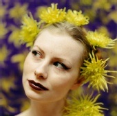 Joyleaf - Yellow Flowers