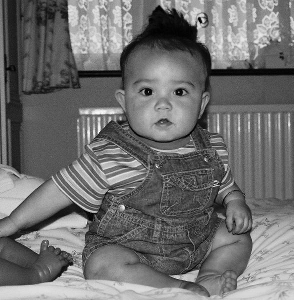 Coby - Coby 7 months old