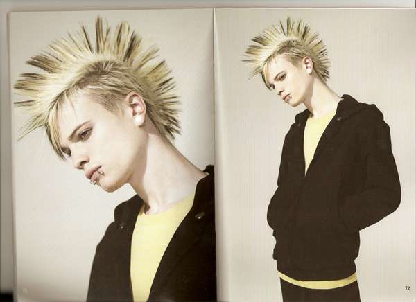 hobbs - McQueen Spring Summer 2008 Look Book