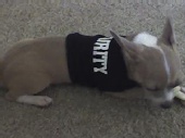 LANA - security 