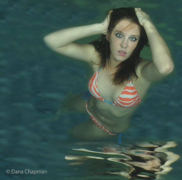 Dana  Chapman