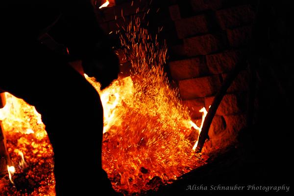 Alisha Schnauber Photography