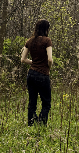 Alisha Schnauber Photography
