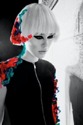 The Beauty Artist