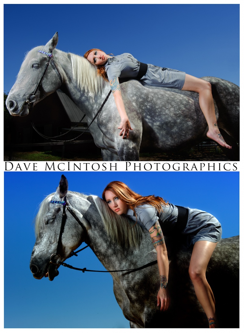 Dave McIntosh