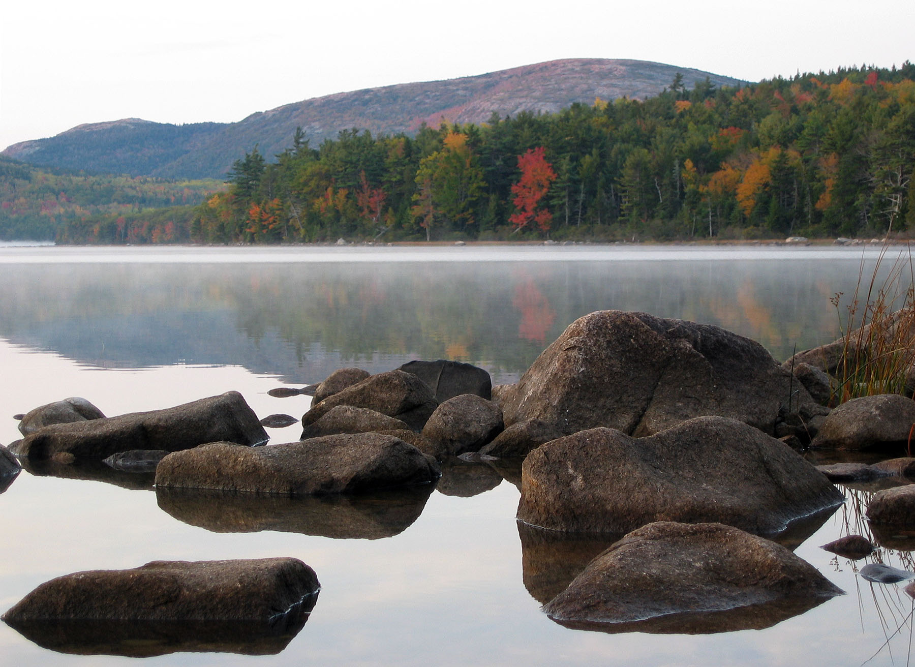 Greg King - Acadia