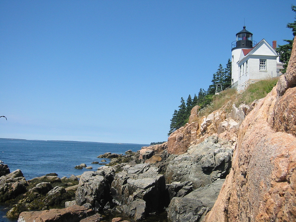 Greg King - Acadia 1