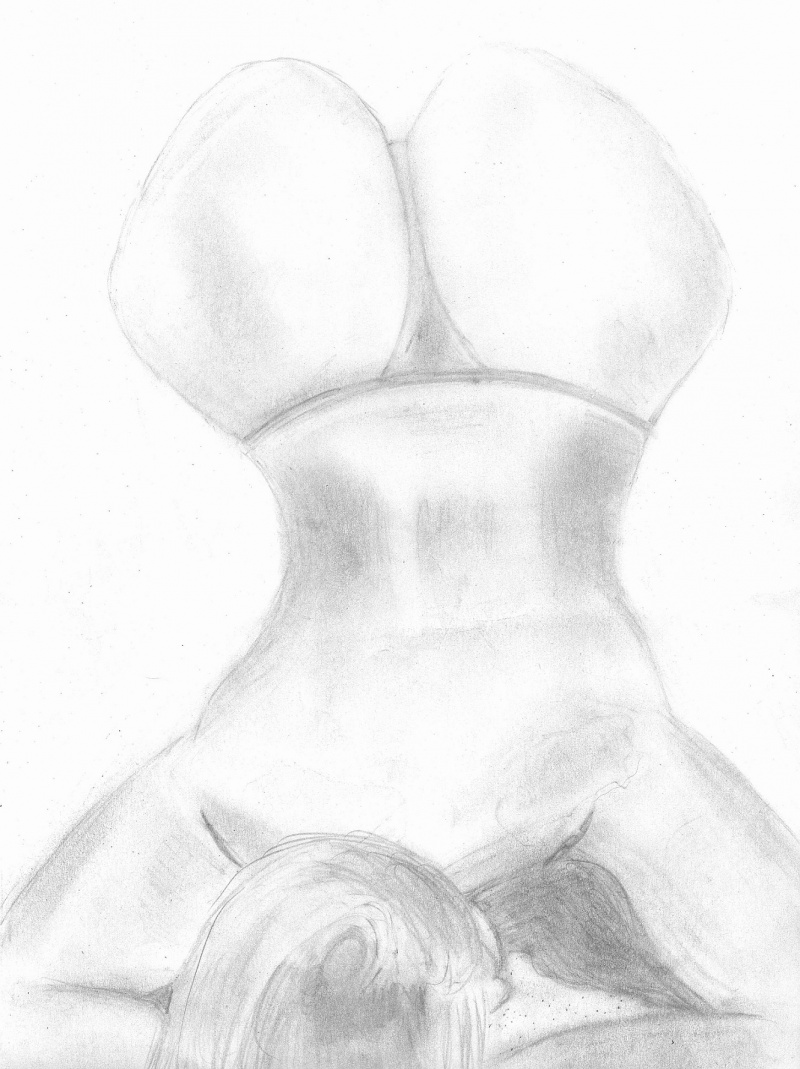 NewSketch