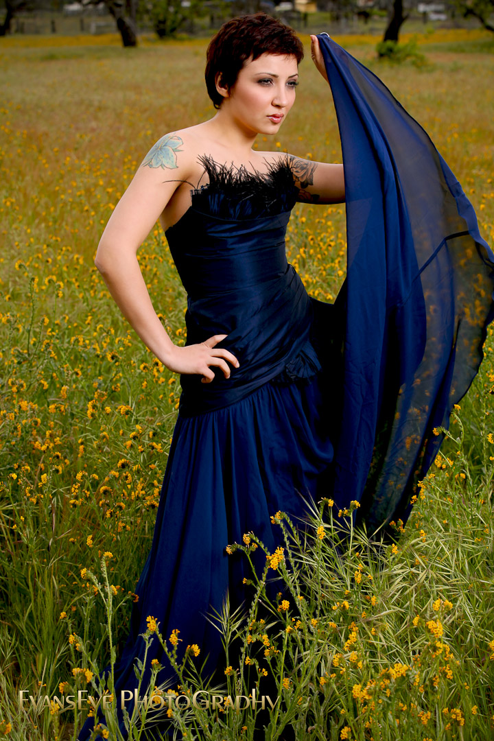 EvansEye on Photography