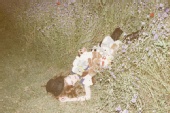 Emanuele Sironi