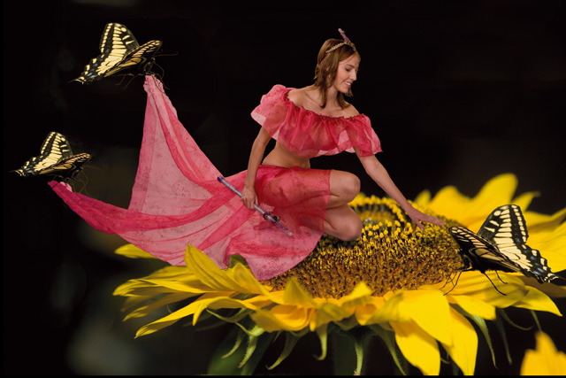 Lynn Weissenfels - fanciful flight
