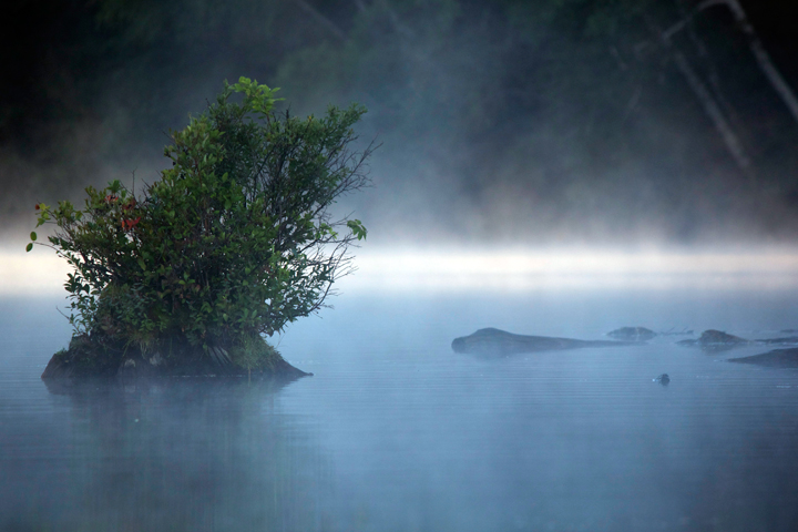 Audica Entertainment