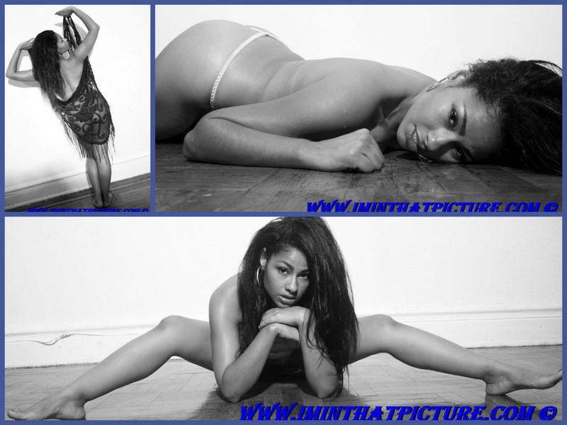 I'm In That Picture LLC