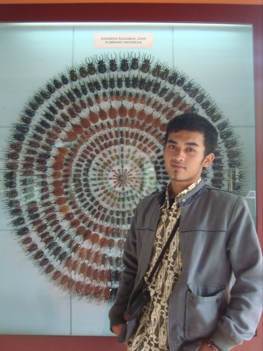 bintang safudin
