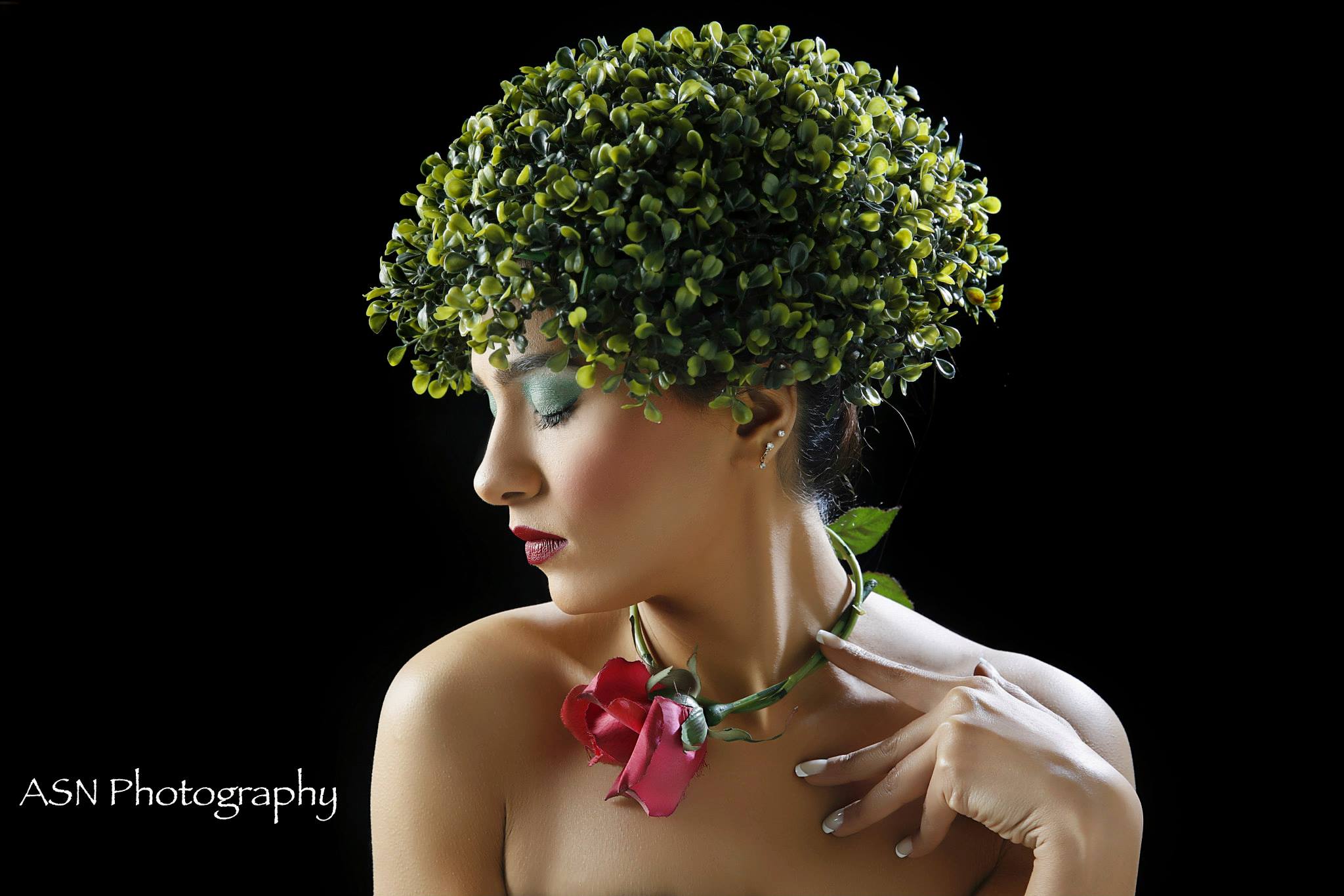 ASN Photography - Implied Artistic