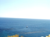 dimitris