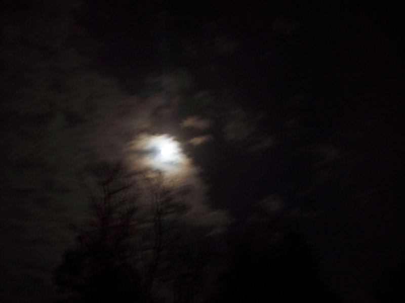 Kristine - Night Shot