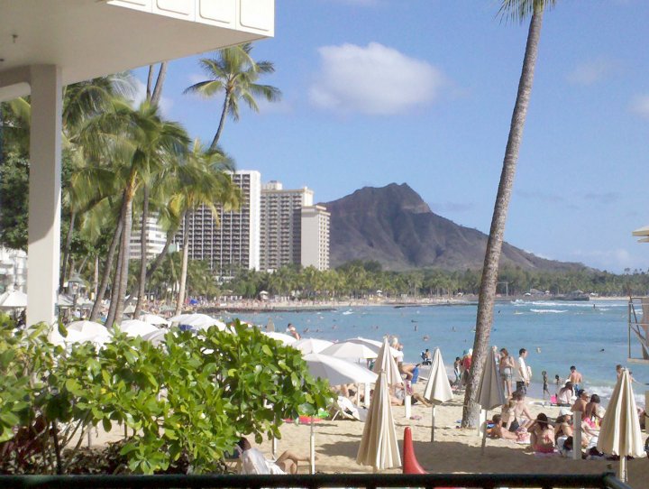 michael wahl - looking at diamondhead