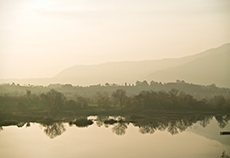 Patrick - Reflection in Franciacorta