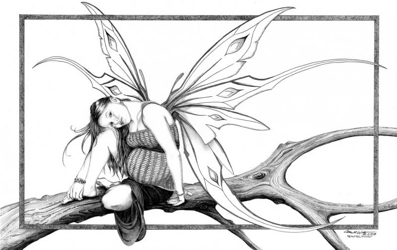 Voyageur Art and Photo