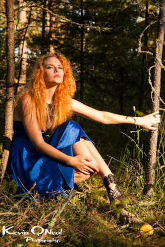 Kevin ONeal Photography