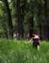 Kevin ONeal Photography
