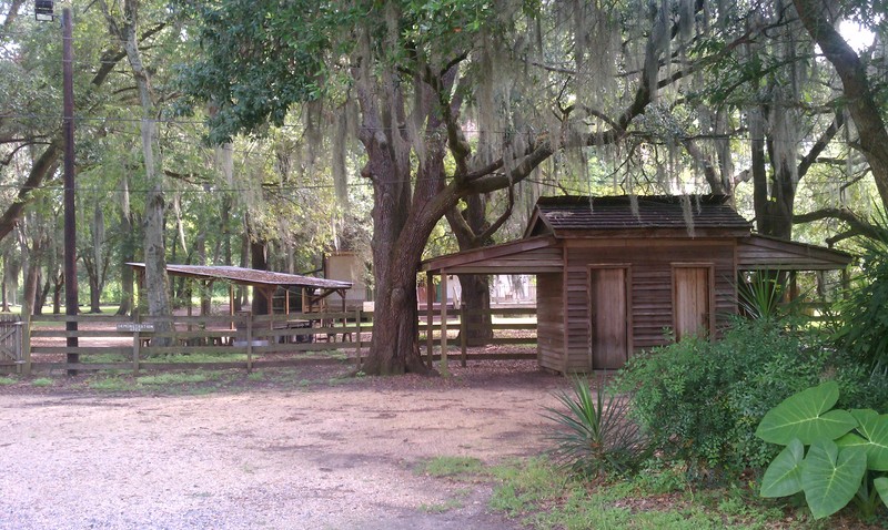 John - Slave Cabin