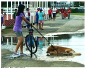 orville - just go on without me...