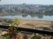 Alok