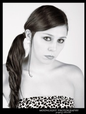 Moonlight Photography