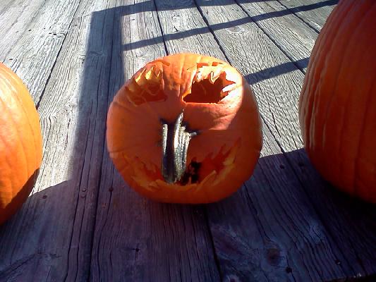 Michael Miller - Pumpkin