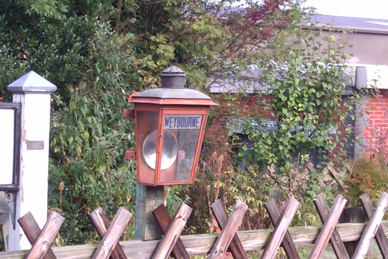 erica - Weybourne