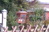 erica - Weybourne