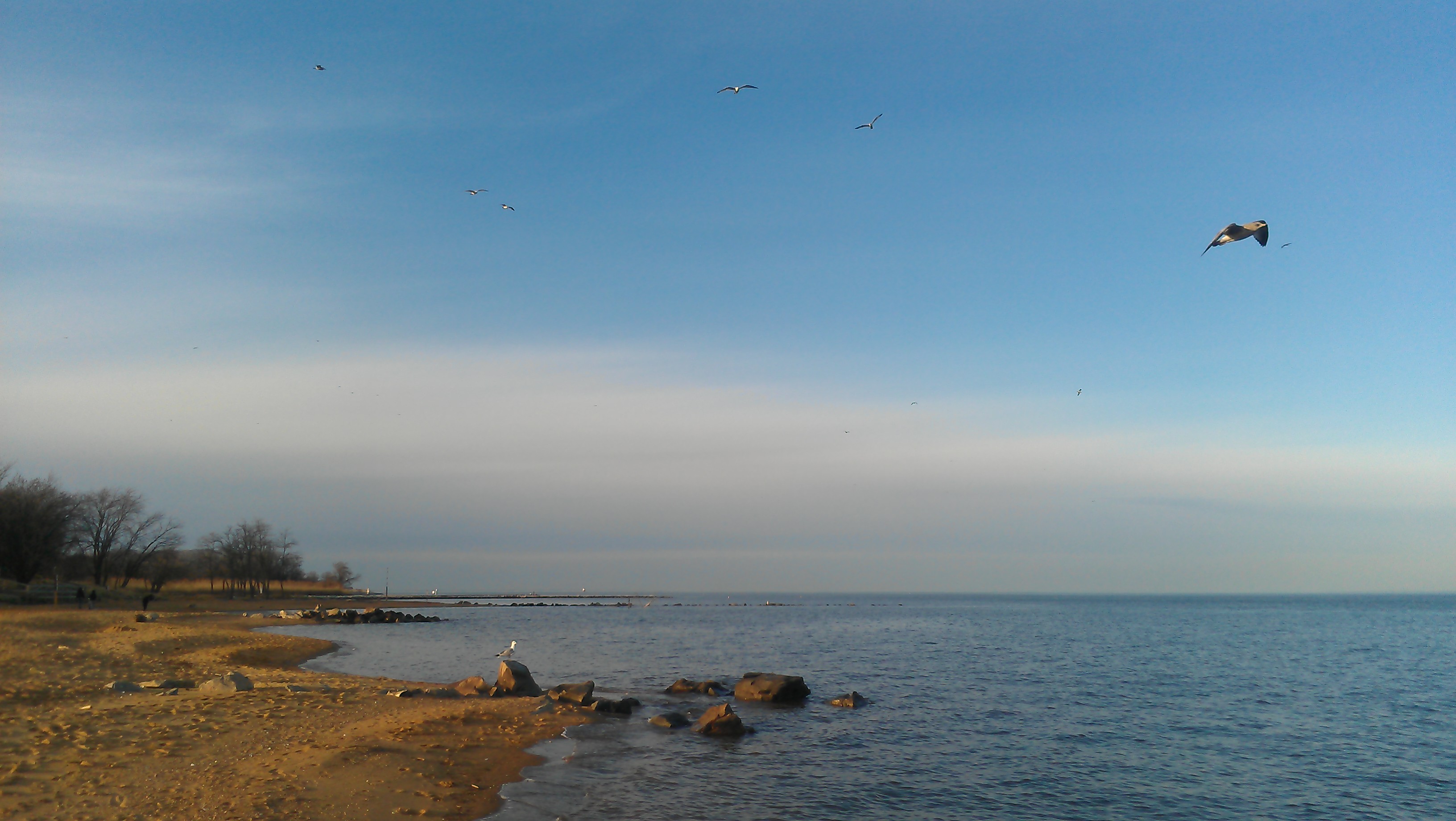 Anna P - Sandy Point, February 2012