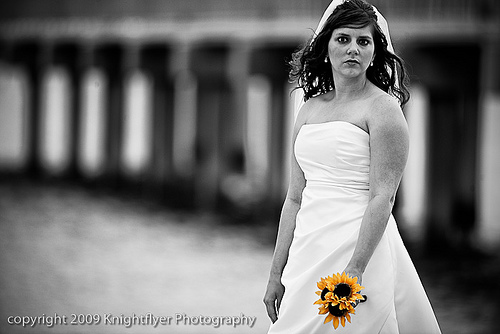 Knightflyer Photography