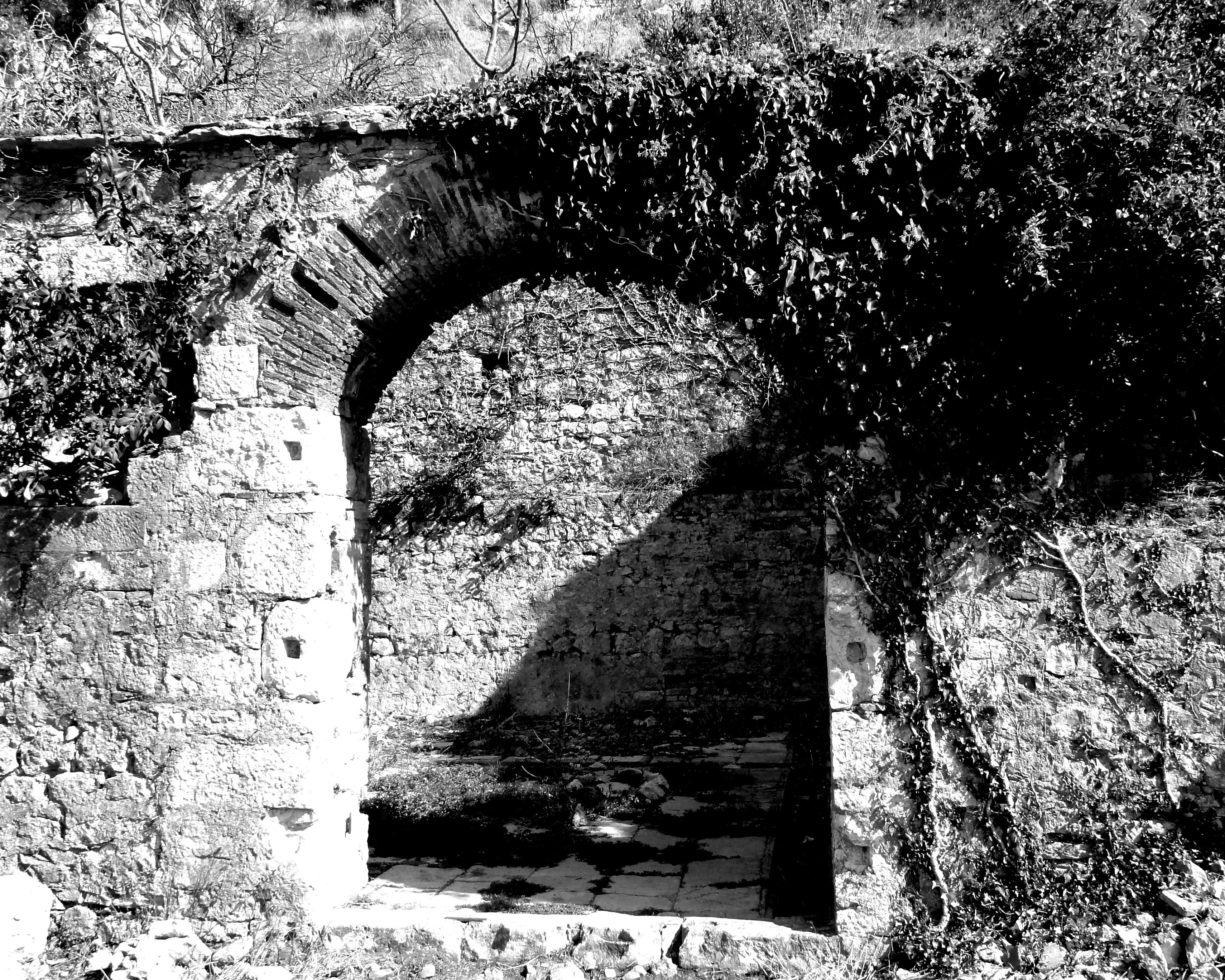 upanther - BW Arch