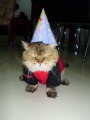 Thomas CK - Its my B'day!