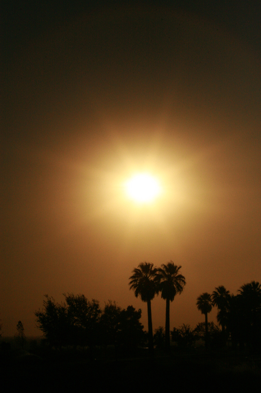 Hot-Shots Photography - Desert Sun