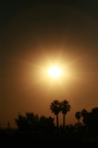 Hot-Shots Photography - Desert Sun