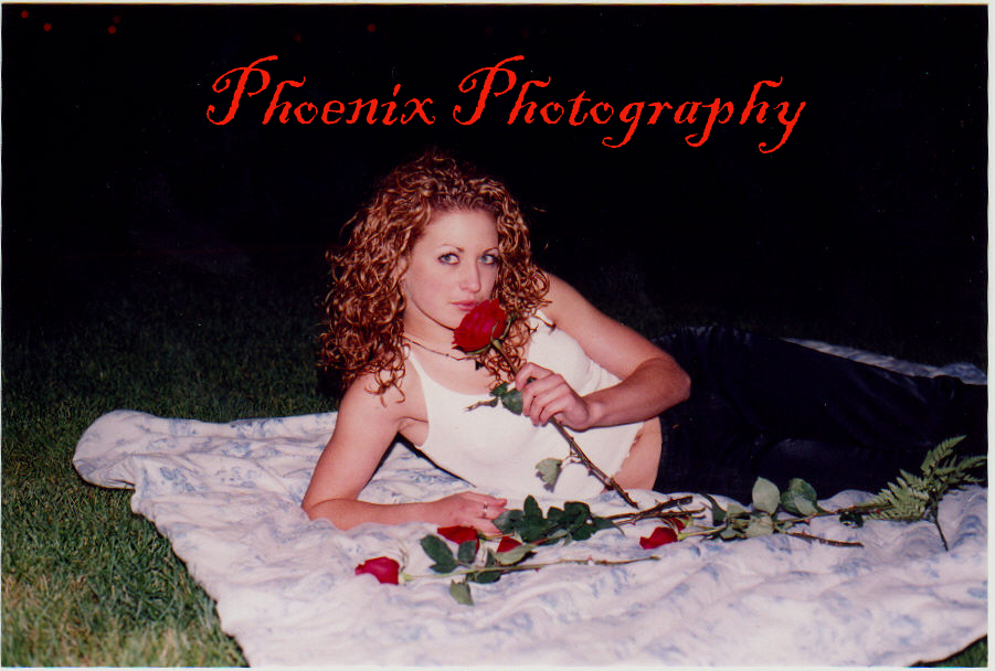 phoenix6677
