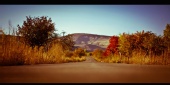 ato - Roadhouse Blues