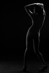 sillouhette
