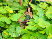 Tinker Bell