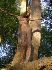 I Am Wood