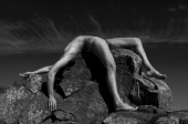 The Offering